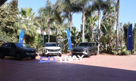 Geely Cityray : Le quatrième élément