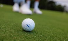 Smeia-BMW : Transporteur d’un golfeur en or
