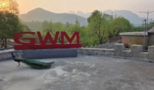 Great Wall Motor (GWM) : L’automobile chinoise sous un nouveau jour